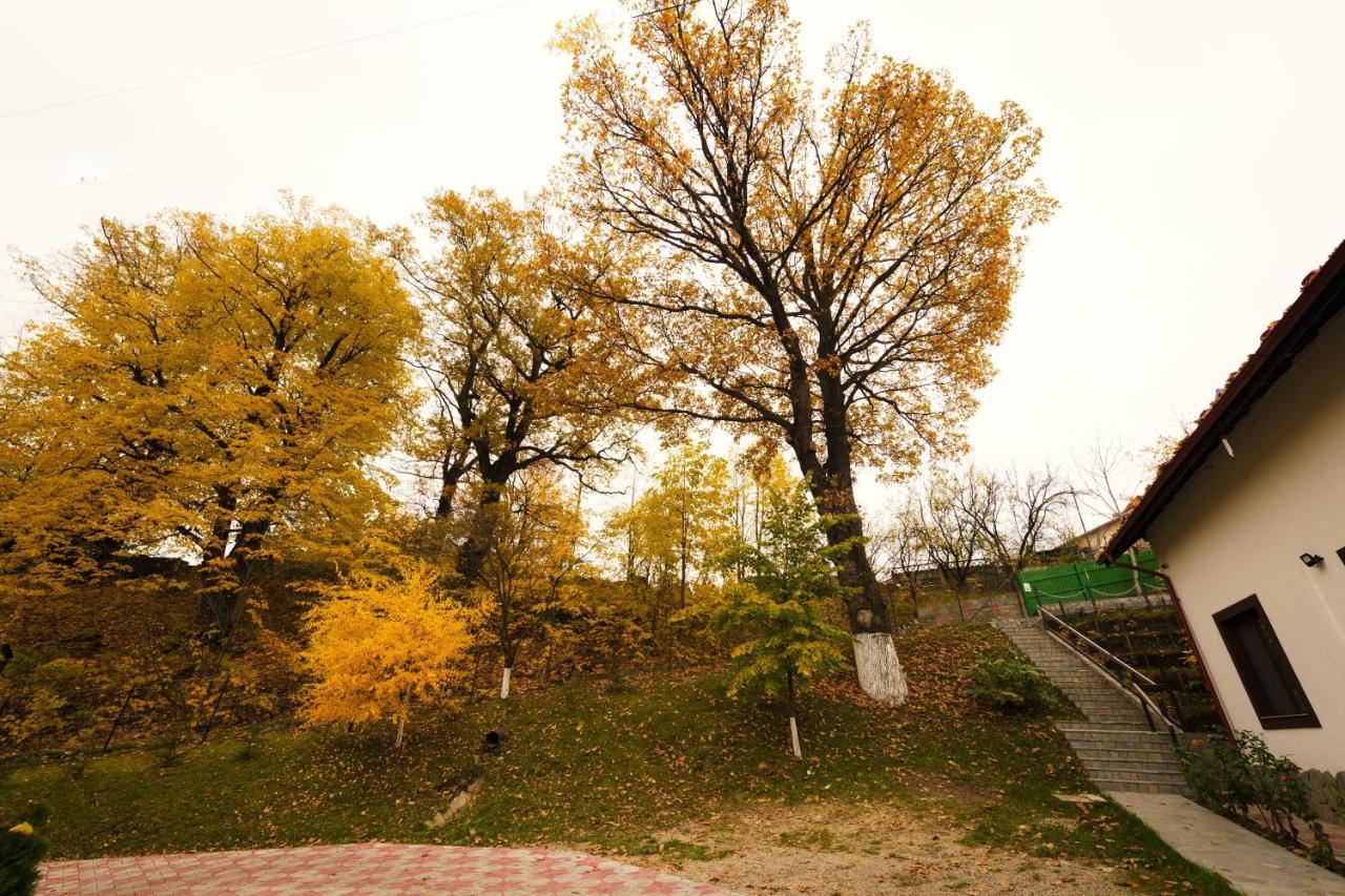 Stejarul Lui Andrei Hotel Izvoarele  Exterior foto